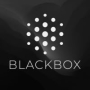 Blackbox.ai vs Google Gemini Logo