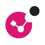 Check Point Remote Access VPN Logo